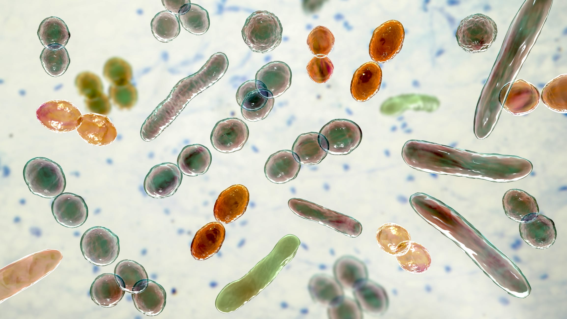 Image of several bacteria types